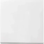 Gira Wippe Wechselsch. rws 029627