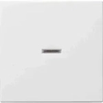 Gira System 55 Wippe mit Kontrollfenster, Schalter/Taster, reinwei&szlig;, gl&auml;nzend,