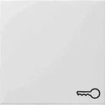 Gira System 55 einteilige Wippe, Schalter/Taster, reinwei&szlig;, gl&auml;nzend, Symbol