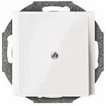Merten Zentralplatte pws/gl 296319
