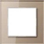 Jung Glasrahmen 1fach champ AC 581 GL CH AC581GLCH
