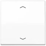 Jung Wippe Symbole aws AS 591 P WW AS591PWW