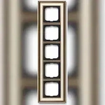 Busch-Jaeger Rahmen 5-fach 1725-848 2CKA001754A4657