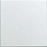 Busch-Jaeger Blindzentralscheibe 1576 C-914 2CKA001582A0401