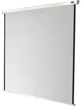 celexon Leinwand Rollo Economy 180 x 180 cm - 100`