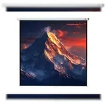 celexon Leinwand Rollo Economy 300 x 300 cm - 167`