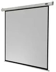celexon Leinwand Motor Economy 180 x 180 cm - 100`