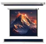 celexon Leinwand Rollo Professional 200 x 200 cm - 111`