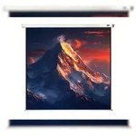celexon Leinwand Rollo Economy 200 x 200 cm - 111`