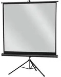 celexon Stativleinwand Economy 133 x 100 cm