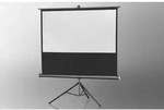 celexon Stativleinwand Economy 158 x 89 cm