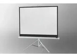 celexon Stativleinwand Economy 158 x 118 cm - White Edition