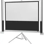 celexon Stativleinwand Economy 219 x 123 cm - White Edition