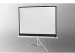 celexon Stativleinwand Economy 211 x 160 cm - White Edition