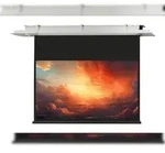 celexon Deckeneinbau Leinwand Motor Expert 300 x 169 cm