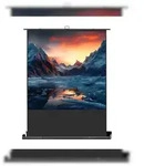 celexon Leinwand Ultramobil Professional Plus 120 x 120 cm - 67`