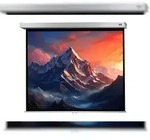 celexon Leinwand Rollo Professional Plus 280 x 210 cm - 138`