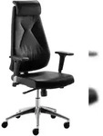 Mayer Sitzm&ouml;bel, Chefsessel, Schwarz, 2462