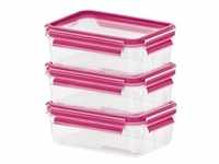 EMSA CLIP & CLOSE Rechteckig Box 0,55 l Pink, Transparent 3 Stück(e)