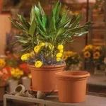 euro3plast Pflanzk&uuml;bel GEO &Oslash; 50 cm terracotta