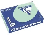 Clairefontaine DIN A4 Farbiges Papier Gr&uuml;n 160 g/m2 Matt 250 Blatt
