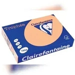 Clairefontaine Kopierpapier 1104C 025601610521 A4 160g lachs 250Bl