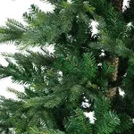 Everlands Weihnachtsbaum Grandis 150cm mit weichen Nadeln gr&uuml;n