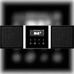 Jung Smart Radio DAB+ DAB LS2 SW DABLS2SW