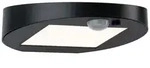 Paulmann Solar LED Au&szlig;enwandleuchte Ryse Bewegungsmelder IP44 3000K 30lm Anthrazit