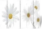 vidaXL Raumteiler klappbar 217x170 cm Blume