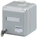 Mennekes Datendose Cepex 4375G