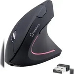 Renkforce RF-WM-322 Ergonomische Maus Funk Optisch Schwarz 5 Tasten 1600 dpi