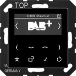 Jung Smart DAB+ Digitalradio DAB A SW DABASW