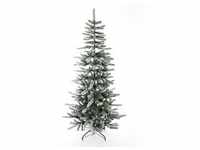 Evergreen Weihnachtsbaum Cedar Kiefer Frost 210 cm Weihnachtsbaum