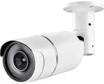 PENTATECH 24224 Kamera-Attrappe mit blinkender LED