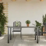 vidaXL Garten-Esstisch Glas Aluminium 150 x 90 x 74 cm Schwarz