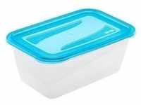 keeeper Lunchbox, 4,3 l, 29 x 19 x 12 cm, fredo fresh, transparent blau.