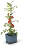 Gusta Garden Tom Tomato Drau&szlig;en Topfpflanzer Freistehend Polypropylen (PP),