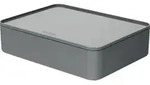 HAN Schubladenbox SMART-BOX PLUS ALLISON 2 Schubladen 1110-19 grau
