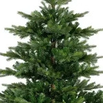 Everlands Weihnachtsbaum Grandis 180cm mit weichen Nadeln gr&uuml;n