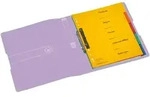 herlitz Ringbuch PP A4 2 Ringe 25mm flieder transparent to go