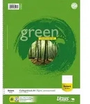 Ursus Collegeblock Green 608570010 DIN A4 70g liniert wei&szlig; 80Blatt
