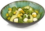 S&Auml;NGER Salatschale Palm Beach