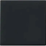 Gira Wippe sw 0296005