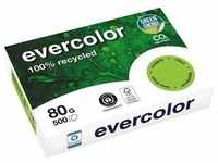 INAPA Kopierpapier Evercolor lindgrün, A4, 80 g/qm, aus 100 % Altpapier,