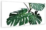 Klarstein Wonderwall Air Art Smart Infrarotheizung Gr&uuml;nes Blatt 120x60cm 700W