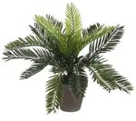 MICA DECORATIONS - Sago Palm Tree (Cyca Revoluta) Pvc mit grauem Topf 33X11.5Cm