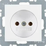 Berker Steckdose pws/gl 6167038989