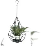 DanDiBo Blumenampel Innen Metall Wand H&auml;ngepflanzen 82 cm 96075 L mit T&uuml;r 6 Ecken