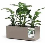 EURO3PLAST Kasten GREENER KEBE 100 cm taupe 3154G9